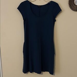 THEORY Blue Dress